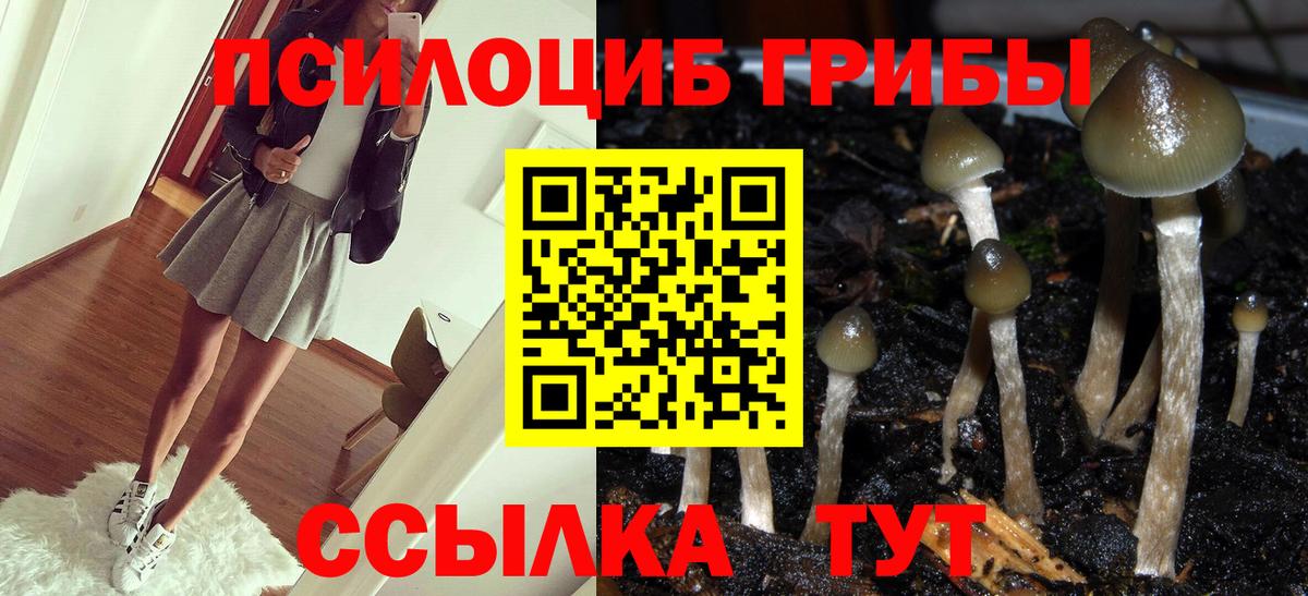 Тара  Галлюциногенные грибы Magic Shrooms  Вход с VPN 